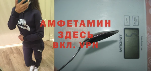 амф Ладушкин