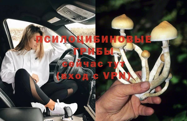 молекула духа Лихославль