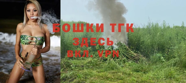 амф Ладушкин