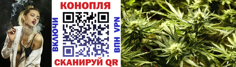 Марихуана OG Kush  Луга 